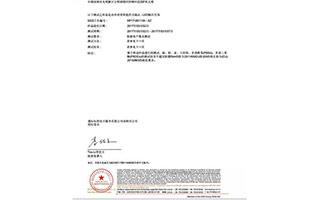 貼片檢測(cè)報(bào)告