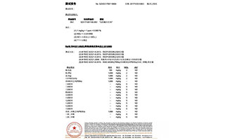 貼片檢測(cè)報(bào)告-(2)